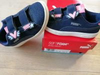 Puma Sneaker Gr 30 blau pink Wandsbek - Hamburg Bramfeld Vorschau
