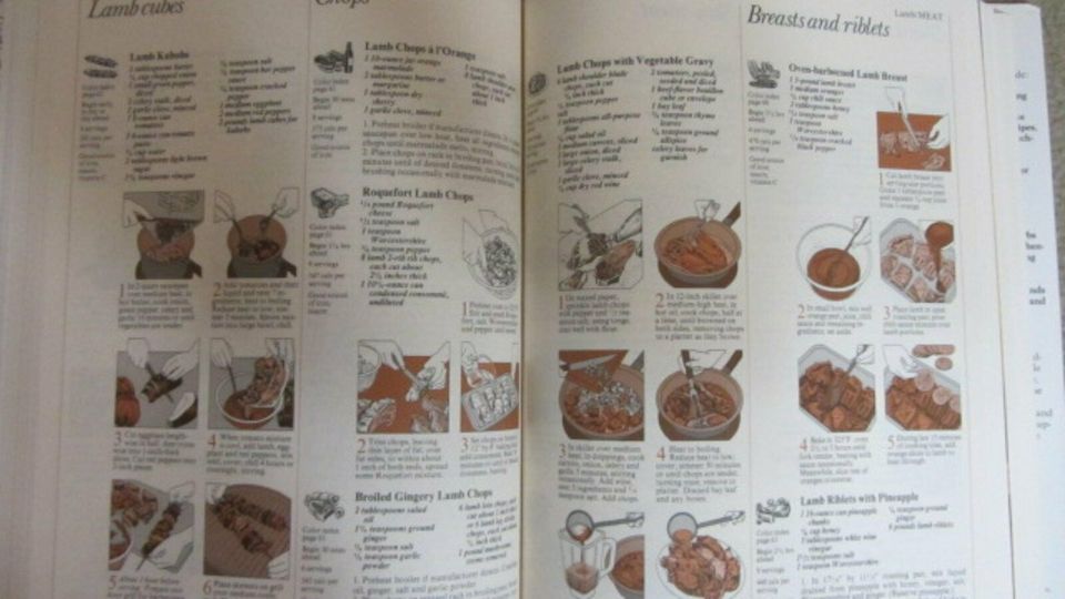 Kochbuch Englisch*Good housekeeping illustrated Cookbook*English in Dachwig