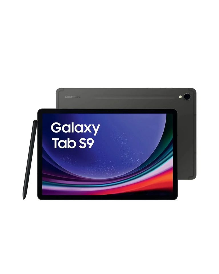 Samsung Galaxy Tab S9 256GB / graphite in Düren