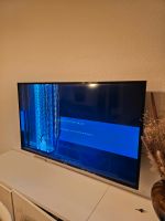 Samsung Smart TV mit 49 Zoll für Bastler Baden-Württemberg - Mannheim Vorschau