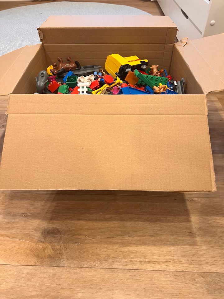 Lego Duplo (ein Karton voll) in Ketsch