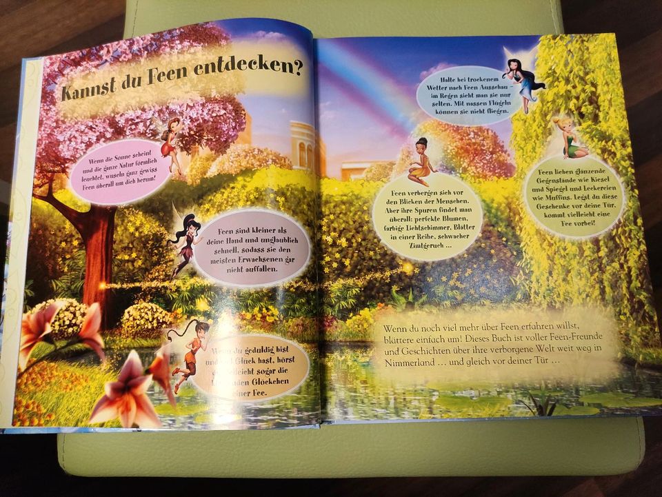 Disney Feen Buch in Berlin