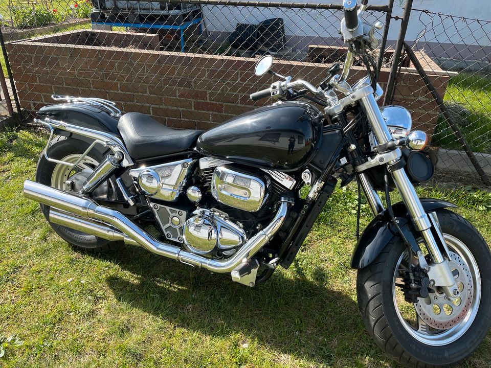 Suzuki VZ 800 Marauder in Spremberg