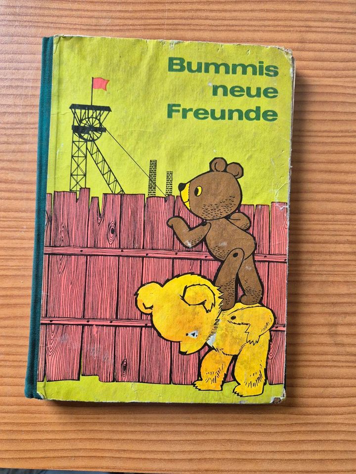 DDR Kinderbücher in Blankenburg (Harz)