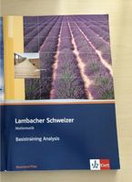 Lambacher Schweizer Mathematik Basistraining Analysis RLP Hessen - Rosbach (v d Höhe) Vorschau