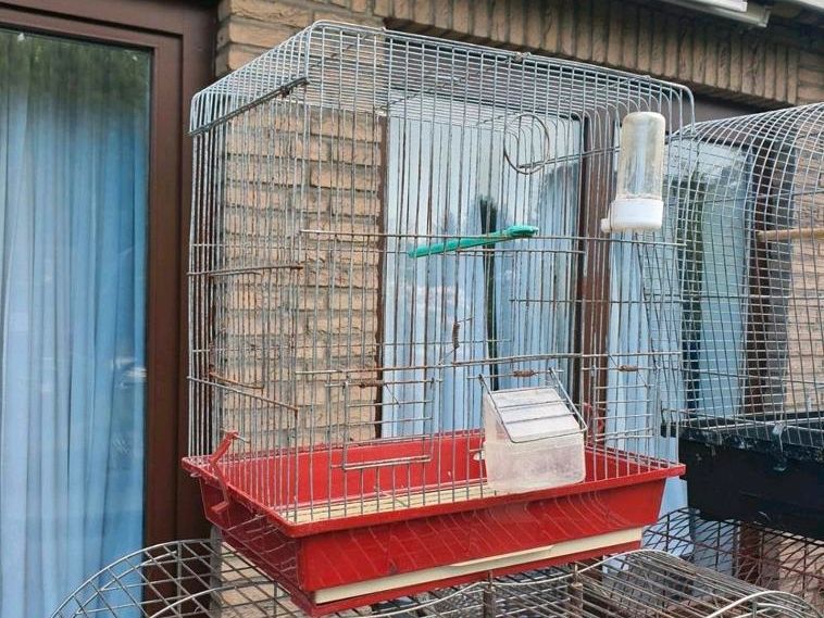 6 Käfige, Vogelkäfige mit Zubehör in Bremen