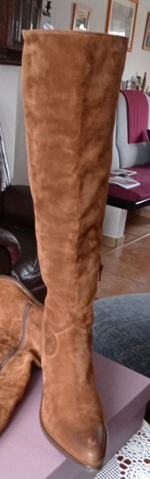 Donna Carolina Stiefel neu Gr.42,5 incl.Versand in Groß Pankow (Prignitz)