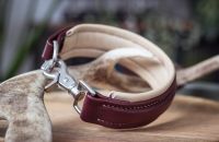 Halsband Hund Leder Bayern - Bischberg Vorschau