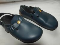 Birkenstock Clog Glogs gr. 39 Neuwertig inkl. Versand Sachsen-Anhalt - Lutherstadt Wittenberg Vorschau