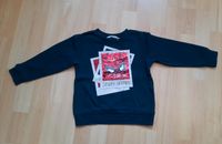 Pullover H&M 104 Sachsen - Grüna (Sachsen) Vorschau