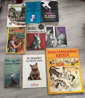 9 Günstige Bücher Katzen, Pferde, Wendy usw. Niedersachsen - Rinteln Vorschau