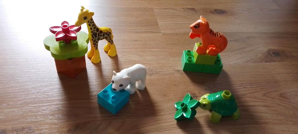 Lego Duplo verschiedene Sets in Jettingen