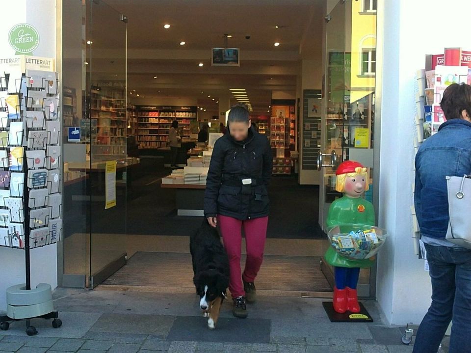 Stadttraining, Stadtsicherheit, Umweltgewöhnung in Haselbach b. Mitterfels