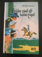 Brüder sind oft keine Engel altes Kinderbuch 1967 3. Auflage Sachsen - Frohburg Vorschau