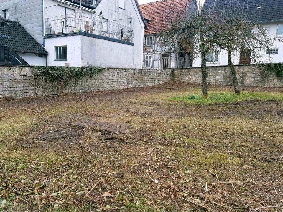 Baufeld Rodung Rodefräse Forstmulchen Forstfräse Baufeldräumung in Nieheim