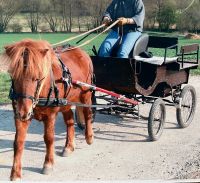 Ponykutsche Hessen - Gudensberg Vorschau