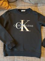 Calvin Klein Pullover XS 14 Hessen - Gießen Vorschau