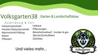 Gärtner Garten Gartenpflege Gartenarbeit Rasen Hecke Baum Rückschnitte Zaunbau  uvm. Niedersachsen - Wolfsburg Vorschau