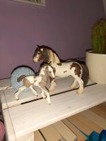 Schleich Tinker Kreis Ostholstein - Ahrensbök Vorschau