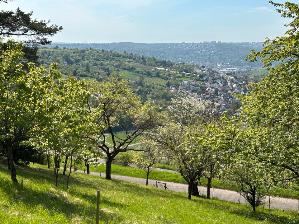 Gartengrundstück mit traumhaften Blick über Stuttgarts Weinberge in Ehningen