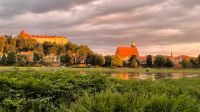 Ferienwohnung Elbfrieden Pirna Dresden Sächsische Schweiz Sachsen - Pirna Vorschau