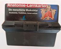 Anatomie-Lernkarten "Die menschliche Muskulatur" Brandenburg - Bernau Vorschau