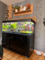 400l Aquarium inkl. unterschrank Nürnberg (Mittelfr) - Südoststadt Vorschau