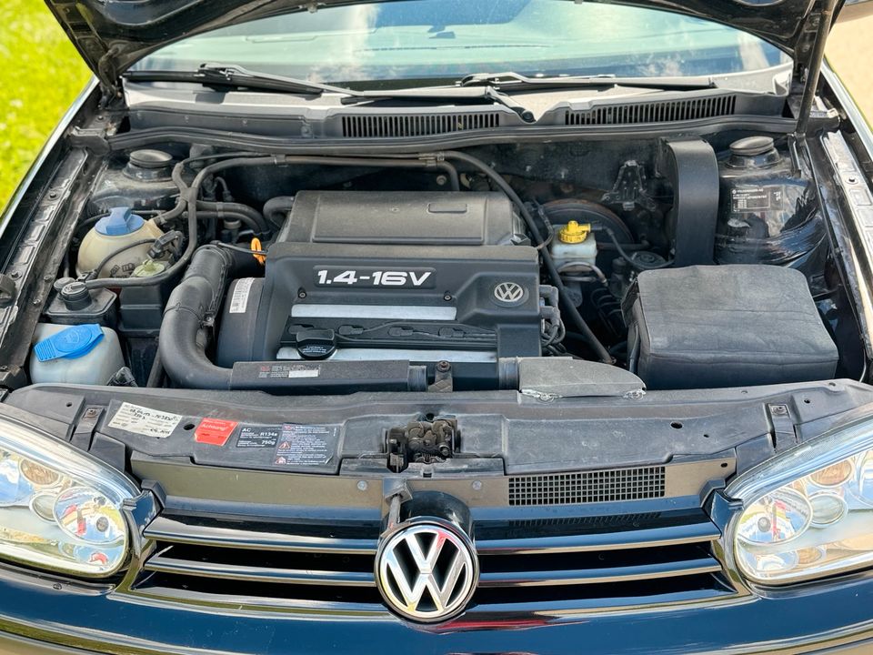 VW Golf IV 1.4, 16 Valve, Neu TÜV in Memmingerberg