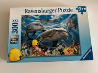 Ravensburger Puzzle 300 XXL Delfine| Karibisches Lächeln Brandenburg - Bergholz Rehbrücke Vorschau