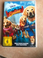 DVD, Hunde, Super Buddies, Disney, Bayern - Hebertshausen Vorschau