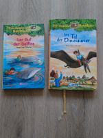 Buch Kinderbücher das magische Baumhaus Dinosaurier+ Delfine Niedersachsen - Hildesheim Vorschau