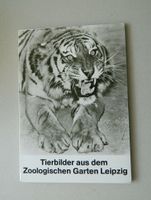 Tierbilder aus dem Zoologischen Garten Leipzig  DDR 1982 Leipzig - Altlindenau Vorschau