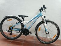 26 Zoll Bulls Fahrrad. 21 Gänge. 32 size. Nabendinamo Baden-Württemberg - Freiburg im Breisgau Vorschau