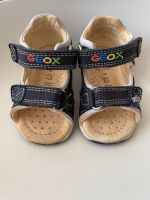 Geox Babyschuhe Gr.18. Baden-Württemberg - Dischingen Vorschau