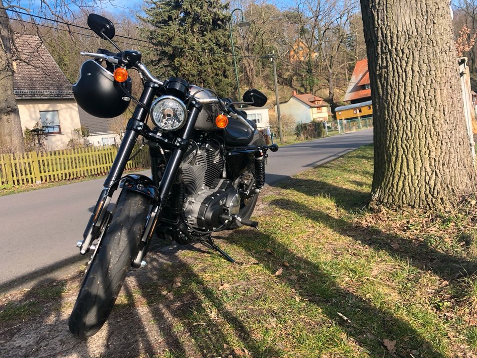 Harley Davidson Roadster 1200 XL2 / A2 tauglich in Potsdam