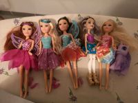 Sparkle Girlz Fairy Feen Puppen (Barbie) Nordrhein-Westfalen - Ense Vorschau