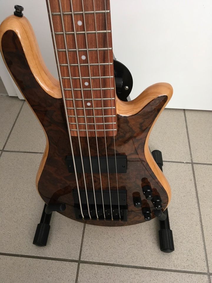 Spector Legend  Custom 6 Saiter Bass in Forst