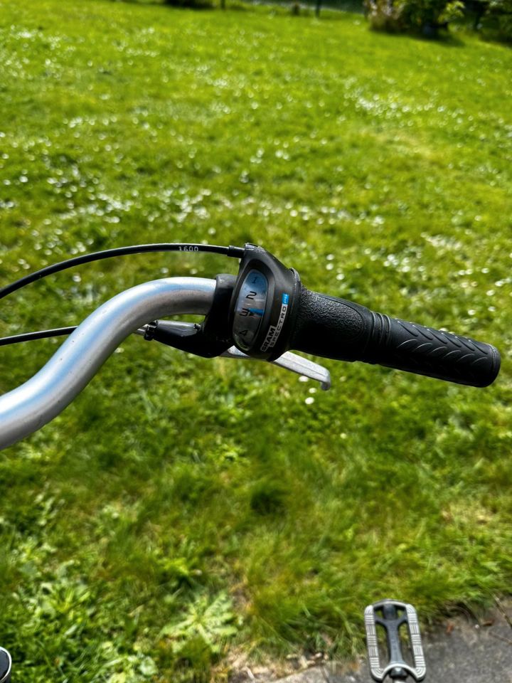 Fahrrad Pegasus in Harsewinkel