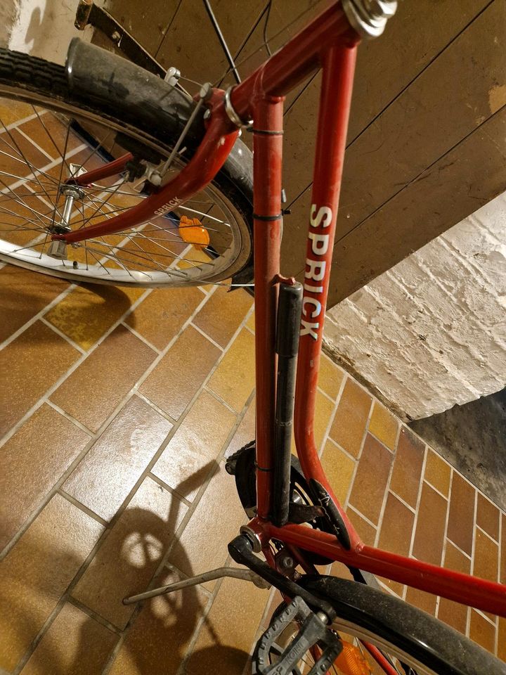 Fahrrad rot mit DDR Schloss in Hildesheim