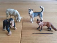 Schleich Tiere, Schimpanse, Schaf, Fuchs, Hund Baden-Württemberg - Dunningen Vorschau