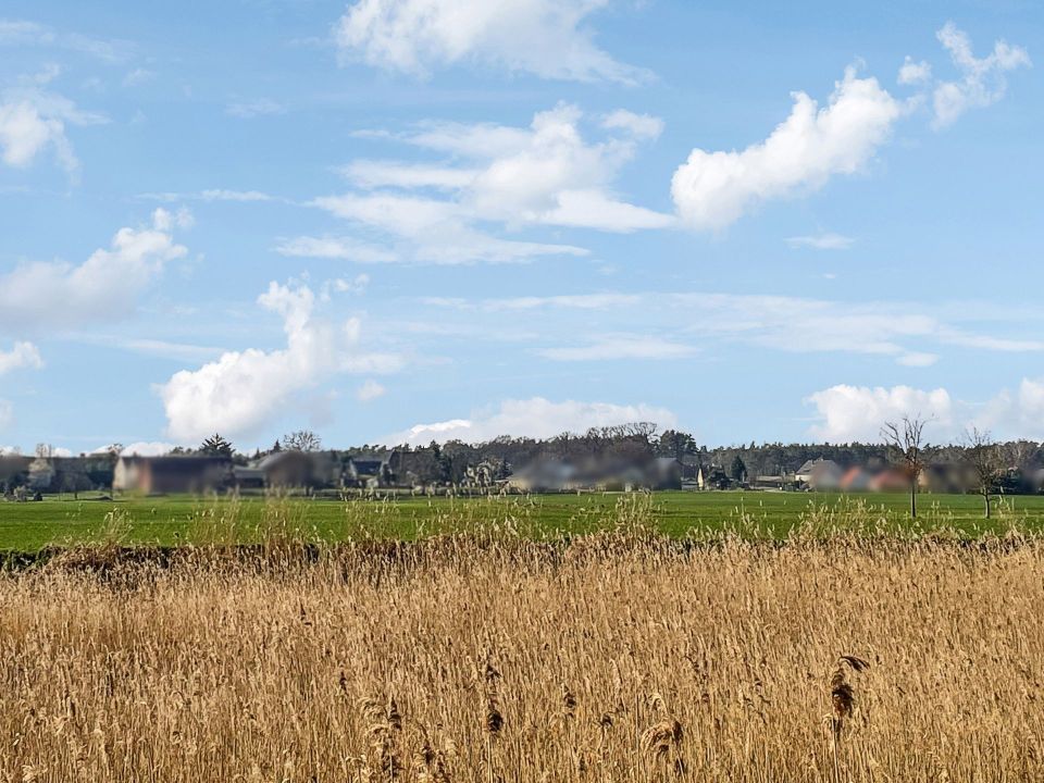 Idyllisch Wohnen: Doppelhaushälfte vor den Toren Magdeburgs in Magdeburg