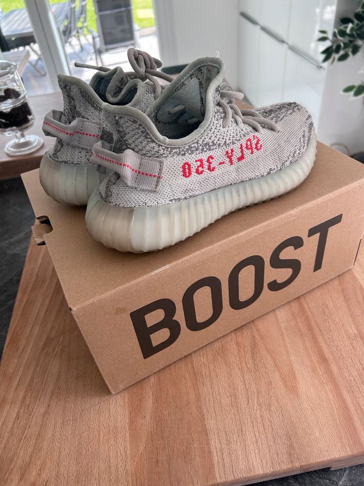 Adidas Yeezy Boost 350 V2 Blue Tint 350V2 36 in Hannover