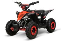 Replay Elektro mini Quad 1000W 36V 6" Kinderquad ATV Nordrhein-Westfalen - Gelsenkirchen Vorschau