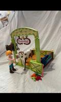 Playmobil Pferdebox Boomerang Niedersachsen - Peine Vorschau