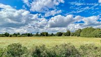 Viel Platz in ländlicher Idylle - provisionsfrei Brandenburg - Fredersdorf-Vogelsdorf Vorschau