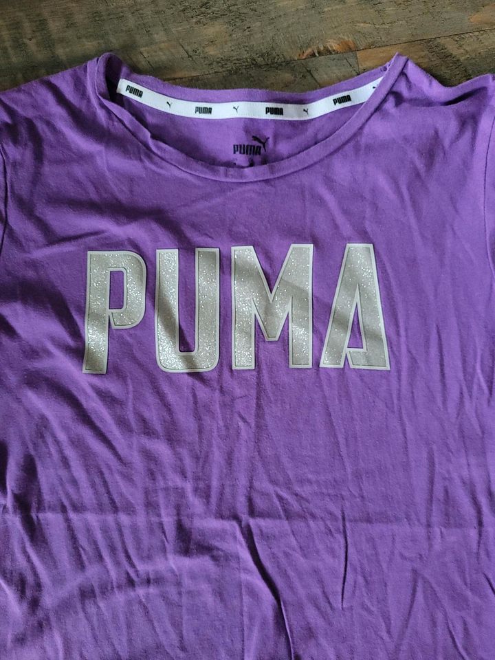 T- Shirt von Puma Gr M in Rickert