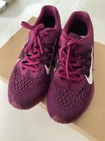 Nike Pegasus Air Zoom Größe 40 Dresden - Blasewitz Vorschau