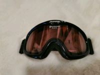 ALPINA Skybird Ski Snowboard Brille Hessen - Otzberg Vorschau