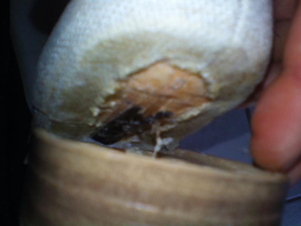 Schöne Leinenschuhe Gr. 37 in beige, reparaturbedürftig in Isenbüttel