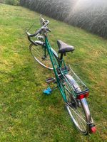 Retro Rennrad von KTM mit freilauf vorne sehr selten Niedersachsen - Hesel Vorschau